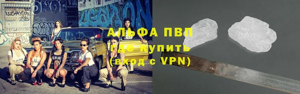 a pvp Каменногорск