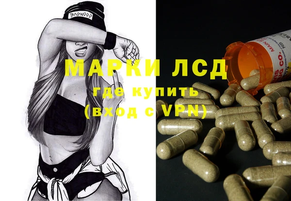 a pvp Каменногорск