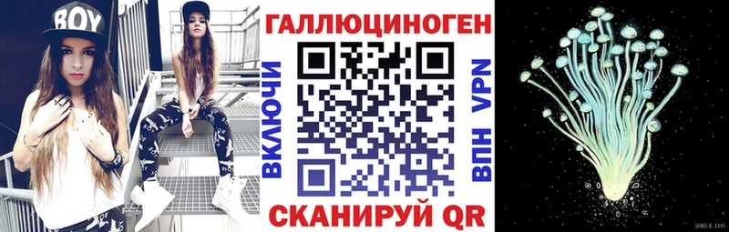 Купить  Нижние Серги  Псилоцибиновые грибы Psilocybe 