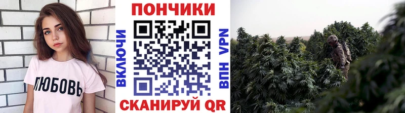 Купить закладки  Нижние Серги  Шишки марихуана планчик 